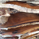 فروش عمده چوب خشک گردو جنگلی